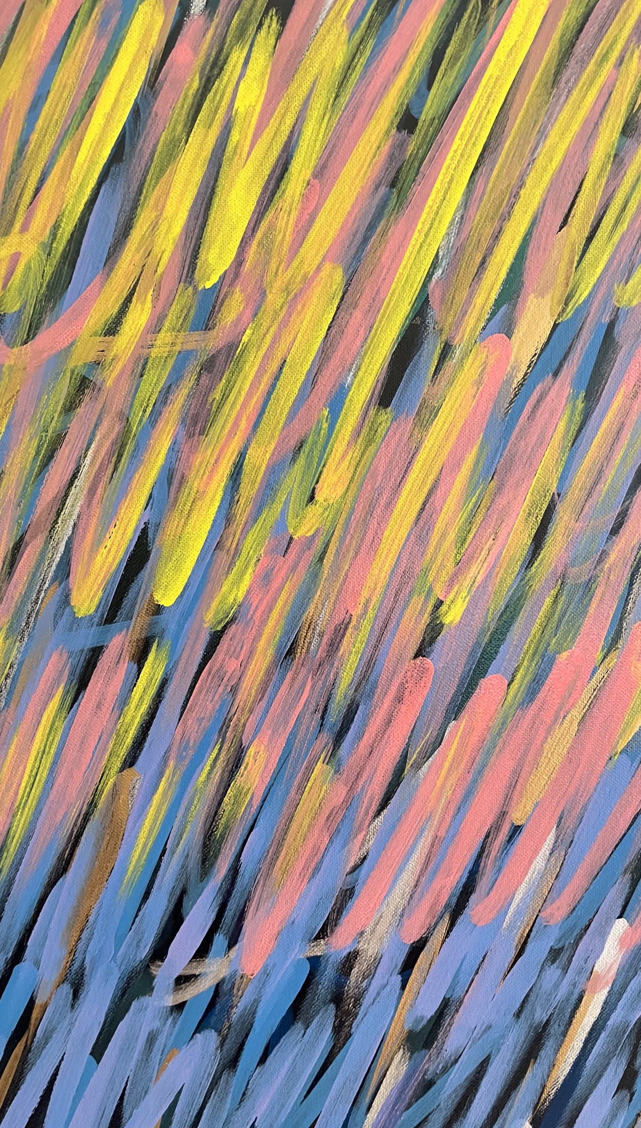 Carnet — trait, variation